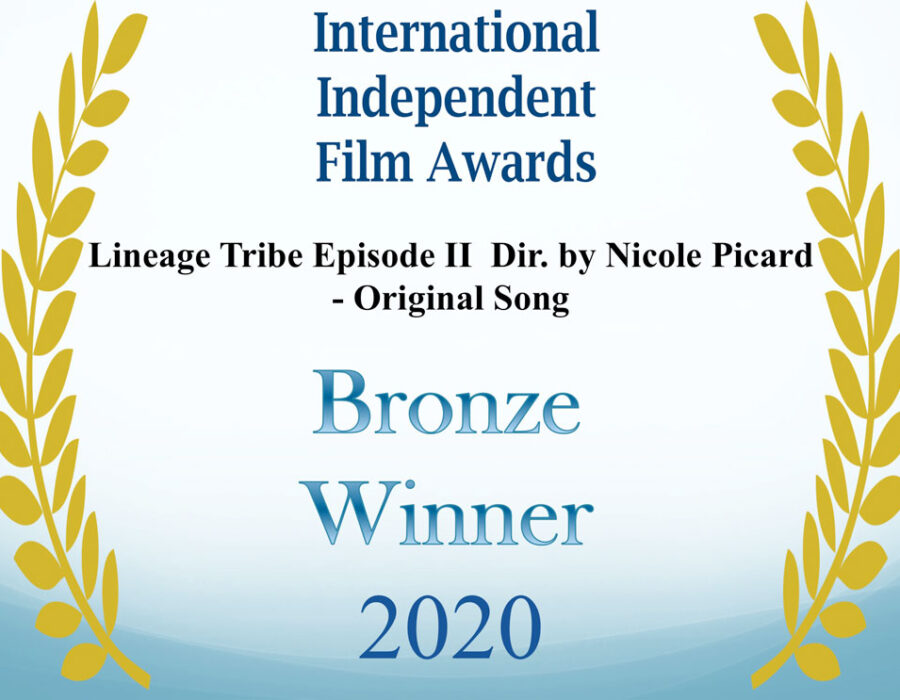 Bronze winner poster for International Independent Film Awards